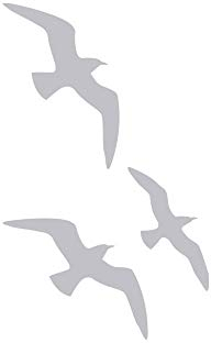 GRAZDesign Fenstertattoo Möwen maritim, Vogelschutz Folie, Fensteraufkleber für Badezimmer, Glastattoo für Dusche / 82x50cm