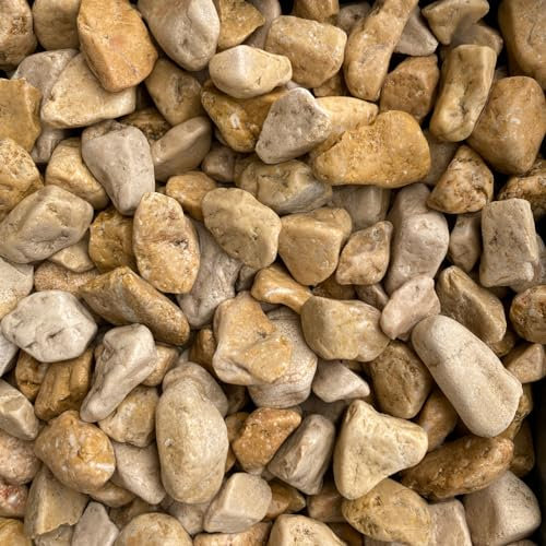 Ciottoli Sassi Giallo Mori Decorativi per Giardino Vasi Aiuole Granulometria 15-25mm Confezione 25kg
