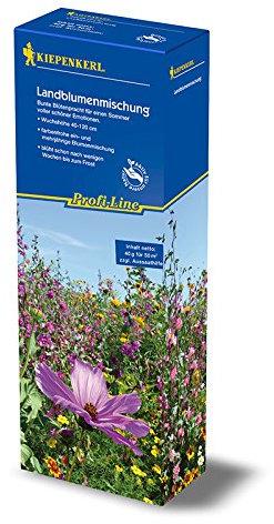 Landblumenmischung ein- und mehrjährige Mischung