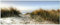 Wallario selbstklebendes Poster - Weg durch die Dünen zum Strand am Meer, Aufkleber in Premiumqualität, Klebefolie Größe: 80 x 200 cm XXL-Poster
