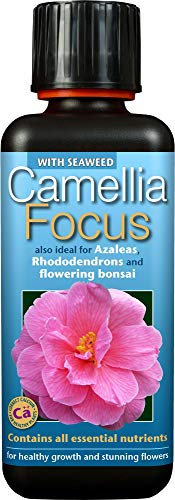Fertilizzante Liquido concentrato bilanciato Camellia Focus 300ml