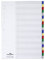 Durable Blanko-Register aus PP (20-teilig, Universallochung) 1 Stück, farbiger Verlauf, 675827