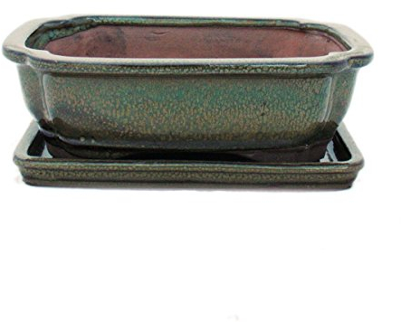 Bonsai pot avec soucoupes taille 3–vert olive-modèle rectangulaire-marron - 18–g12 cm-largeur : 14 cm-hauteur 5,5 cm
