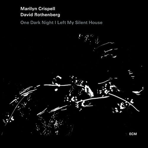 One Dark Night I Left My Silent House