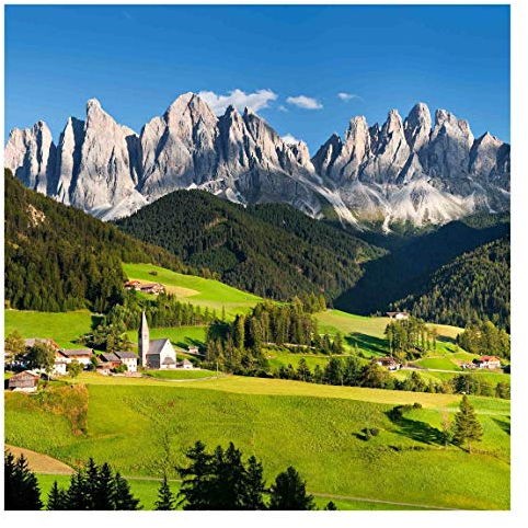 Bilderwelten Wald Fototapete 3D inkl. Kleister 192x192cm - Vliestapete Made in Germany - Tapete Wald Schlafzimmer - Baum Waldtapete Natur - XXL Wandtapete Wald Wohnzimmer Flur T_1615