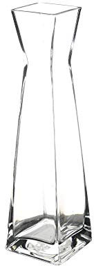 WGVI VBD1212 Glasvase, Glas, farblos, 2x12H Bud Vase