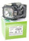 Alda PQ-Premium, Beamerlampe/Ersatzlampe für SANYO PLC-XT25 Projektoren, Lampe mit Gehäuse