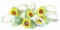 Unbekannt 6 Serviettenring aus Keramik, Sonnenblume