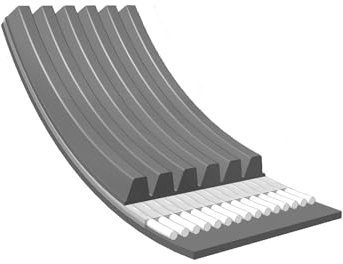 Meyle 050 006 1038 Cinghia Poly-V