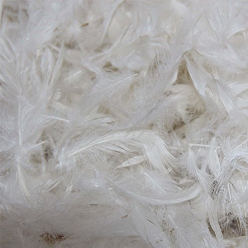 HOMESCAPES Premium Feather Toy Stuffing, White Duck Feathers Cushion Filling, Natural Pillow Stuffing for Crafts, Pillows and Soft Toys, Ethically Sourced & RDS Certified, (1kg)