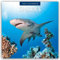 Sharks – Haie 2025 – 16-Monatskalender: Original Red Robin Publishing Ltd-Kalender [Mehrsprachig] [Kalender] (Wall-Kalender)