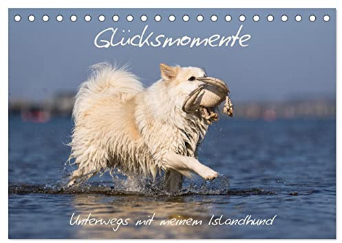 Glücksmomente - Unterwegs mit meinem Islandhund (Tischkalender 2026 DIN A5 quer), CALVENDO Monatskalender: Die Lebensfreude meines Islandhundes ist ansteckend. (CALVENDO Tiere)