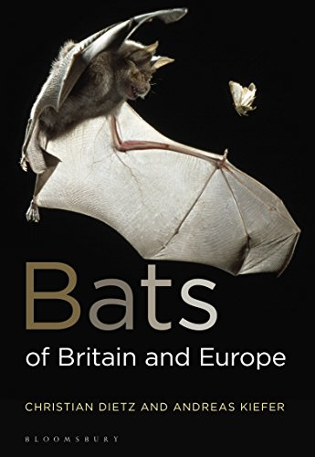 Bats of Britain and Europe (Bloomsbury Naturalist)