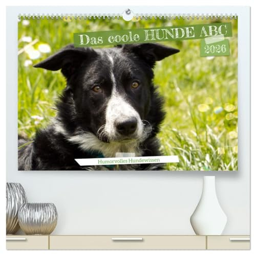 Das coole Hunde ABC (hochwertiger Premium Wandkalender 2026 DIN A2 quer), Kunstdruck in Hochglanz: Humorvolles Hundewissen (CALVENDO Wissen)