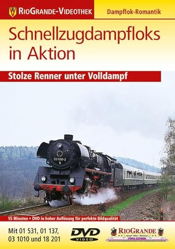 Schnellzugdampflos in Aktion - Stolze Renner unter Volldampf