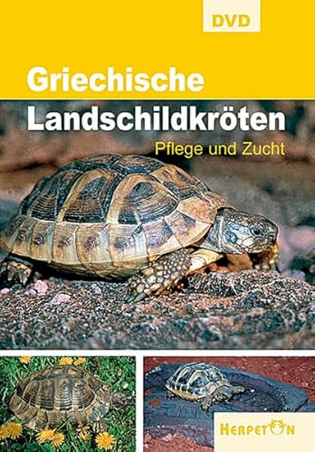 Griechische Landschildkröten - Pflege und Zucht