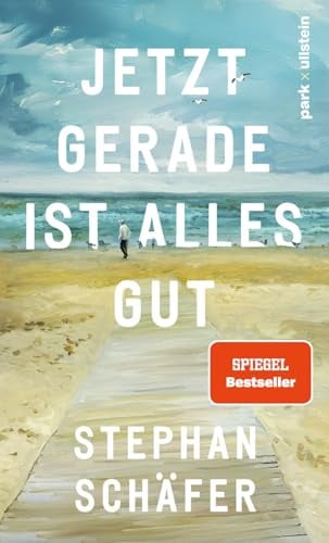 Jetzt gerade ist alles gut: Nach dem SPIEGEL-Bestseller 25 letzte Sommer - der neue Roman von Erfolgsautor Stephan Schäfer
