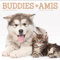2024 Buddies Wall Calendar (Bilingual French) (English and French Edition)