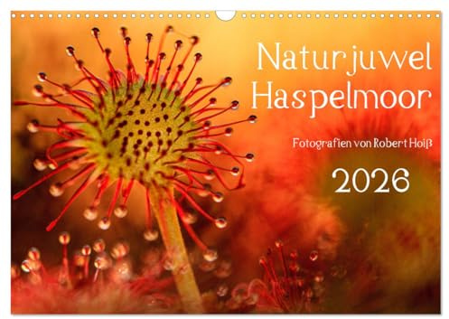 Naturjuwel Haspelmoor (Wandkalender 2026 DIN A3 quer), CALVENDO Monatskalender: Ein Moor sucht seinesgleichen (CALVENDO Natur)