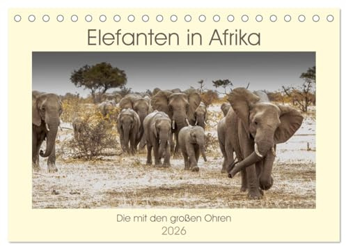 Elefanten in Afrika - Die mit den großen Ohren (Tischkalender 2026 DIN A5 quer), CALVENDO Monatskalender: Imponierende Geschöpfe mit ausgeprägtem Familiensinn (CALVENDO Tiere)