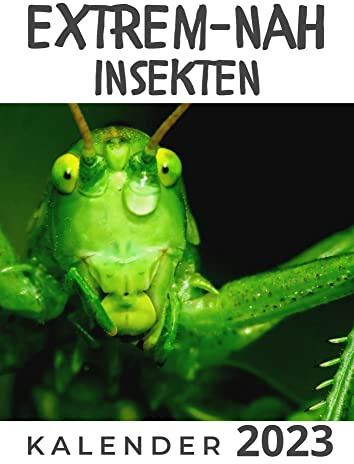 Extrem Nah - Insekten: Kalender 2023