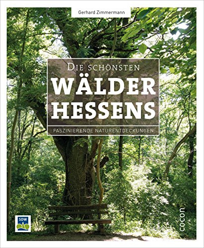 Die schönsten Wälder Hessens: Faszinierende Naturentdeckungen