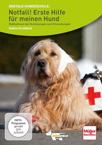 Notfall! Erste Hilfe für meinen Hund: Maßnahmen bei Verletzungen und Erkrankungen