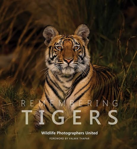 Remembering Tigers: 9 (Remembering Wildlife)