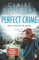 Perfect Crime - Wenn niemand dir glaubt: Thriller. Der neue Thriller von Nr.-1-SPIEGEL- Bestseller-Autorin Claire Douglas