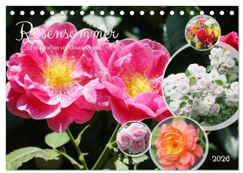 Rosensommer (Tischkalender 2026 DIN A5 quer), CALVENDO Monatskalender: Rosen erstrahlen in ihrer sommerlichen Pracht (CALVENDO Natur)