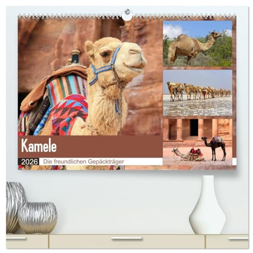 Kamele - Die freundlichen Gepäckträger (hochwertiger Premium Wandkalender 2026 DIN A2 quer), Kunstdruck in Hochglanz: Ein entbehrungsreiches Leben in Wüsten (CALVENDO Tiere)