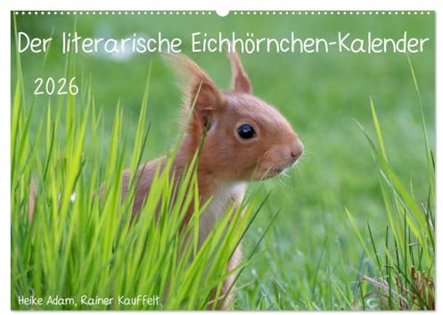 Der literarische Eichhörnchen-Kalender (Wandkalender 2026 DIN A2 quer), CALVENDO Monatskalender: Positive Sprüche mit passenden Fotos von Eichhörnchen. (CALVENDO Tiere)