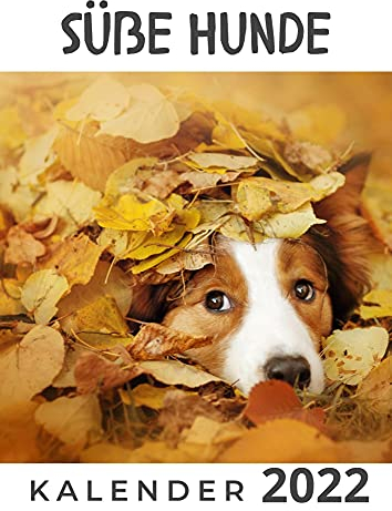 Süße Hunde: Kalender 2022