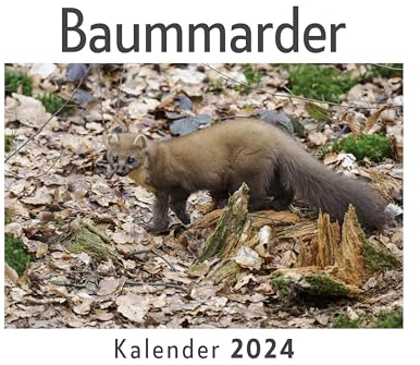 Baummarder (Wandkalender 2024, Kalender DIN A4 quer, Monatskalender im Querformat mit Kalendarium, Das perfekte Geschenk)