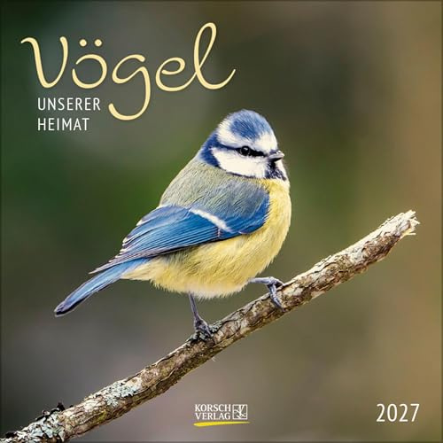 Vögel 2027: Broschürenkalender mit Ferienterminen und Bildern unserer heimischen Vogelwelt. Format: 30 x 30 cm