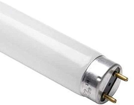 Philips Tubo fluorescente 865 de luz diurna de 18 W T8 de 600 mm