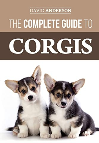 The Complete Guide to Corgis: Everything to Know About Both the Pembroke Welsh and Cardigan Welsh Corgi Dog Breeds