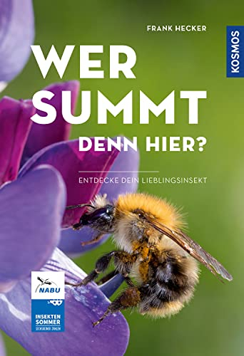 Wer summt denn hier?: Entdecke dein Lieblingsinsekt - Sechsbeiner zählen beim NABU-Insektensommer