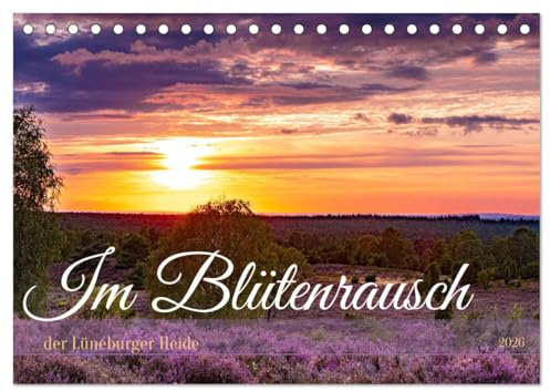 Im Blütenrausch der Lüneburger Heide (Tischkalender 2026 DIN A5 quer), CALVENDO Monatskalender: Die Hauptblüte ist Mitte August. (CALVENDO Natur)