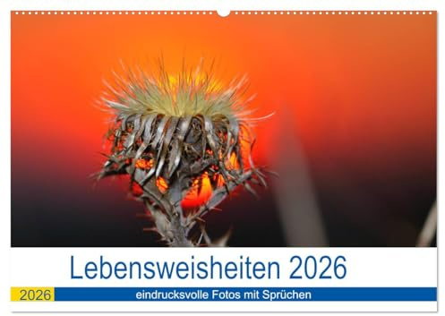 Lebensweisheiten 2026 (Wandkalender 2026 DIN A2 quer), CALVENDO Monatskalender: Eindrucksvolle Fotos mit Sprüchen fürs Leben (CALVENDO Glaube)