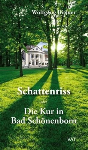 Schattenriss: oder Die Kur in Bad Schönenborn. Roman
