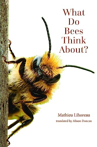 What Do Bees Think About? (The World of Animals) (Animal Worlds)