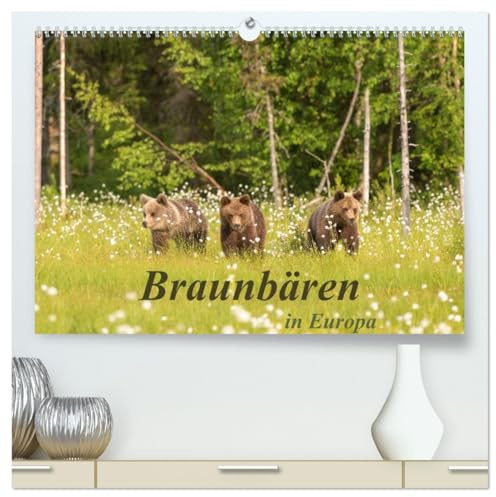 Braunbären in Europa (hochwertiger Premium Wandkalender 2026 DIN A2 quer), Kunstdruck in Hochglanz: Braunbären in ihrem natürlichen Lebensraum in Finnland und Slowenien (CALVENDO Tiere)