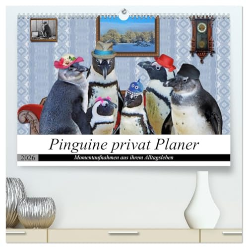 Pinguine privat Planer (hochwertiger Premium Wandkalender 2026 DIN A2 quer), Kunstdruck in Hochglanz: Momentaufnahmen aus ihrem Alltag (CALVENDO Spass)