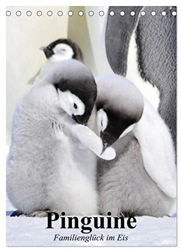 Pinguine. Familienglück im Eis (Tischkalender 2023 DIN A5 hoch): Pinguine in ihrem natürlichen Lebensraum (Planer, 14 Seiten ) (CALVENDO Tiere)
