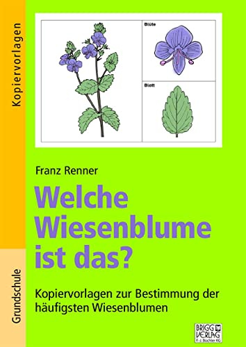 Welche Wiesenblume ist das?: Kopiervorlagen zur Bestimmung der häufigsten Wiesenblumen