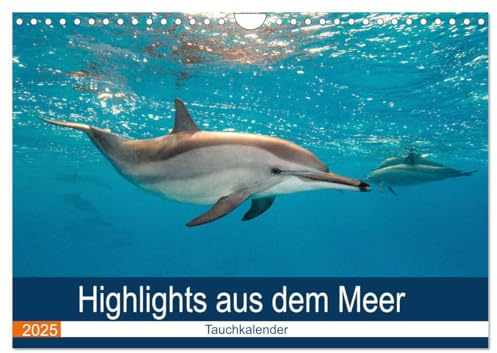Highlights aus dem Meer - Tauchkalender (Wandkalender 2025 DIN A4 quer), CALVENDO Monatskalender