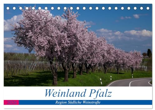 Weinland Pfalz - Region Südliche Weinstraße (Tischkalender 2026 DIN A5 quer), CALVENDO Monatskalender: Die Pfalz, meine persönlichen Eindrücke (CALVENDO Orte)