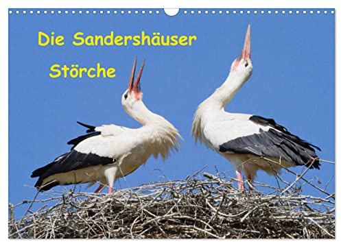 Die Sandershäuser Störche (Wandkalender 2026 DIN A3 quer), CALVENDO Monatskalender: Ausdrucksstarke Momentaufnahmen aus dem Leben des Weißstorchs (CALVENDO Tiere)