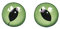Rayher Yeux de chat, yeux en plastique à coudre ø 8 mm 10 pcs vert/noir, 8902600